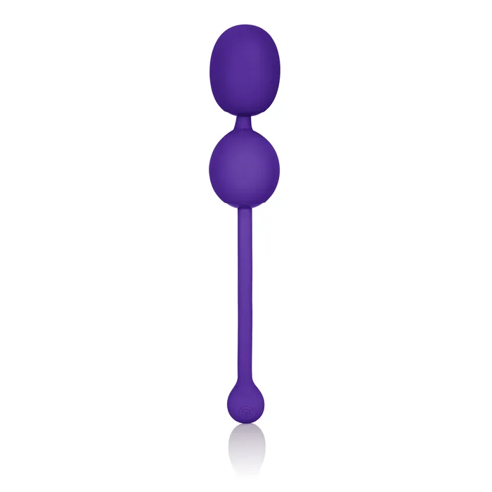 Female Sex Toys CalExotics Rechargeable Dual Kegel Purple