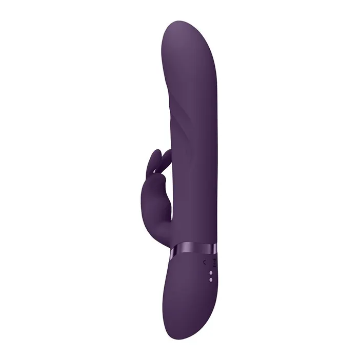 VIVE Nari Purple 241 cm USB Rechargeable Rabbit Vibrator Shots Toys Vibrators